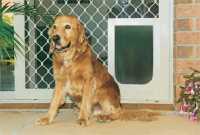 Large - Fitted to Security Screen Door